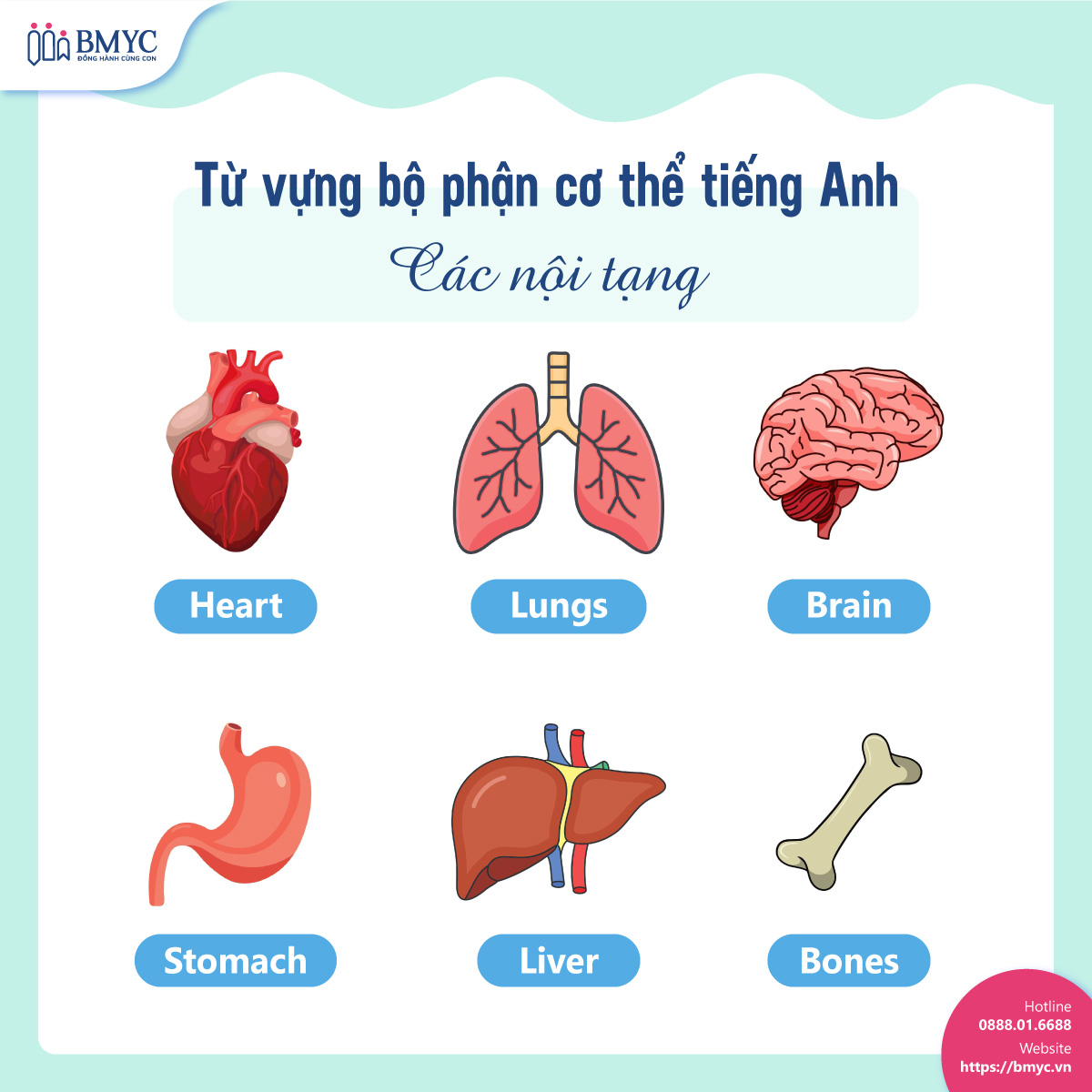 Top 100 tu vung bo phan co the.1