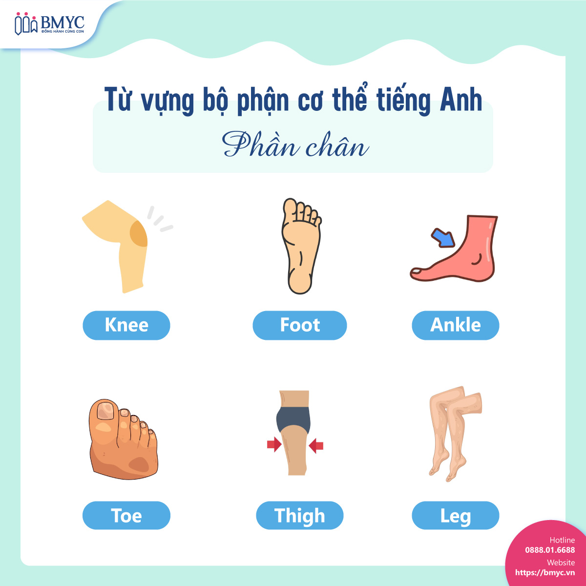 Top 100 tu vung bo phan co the.2