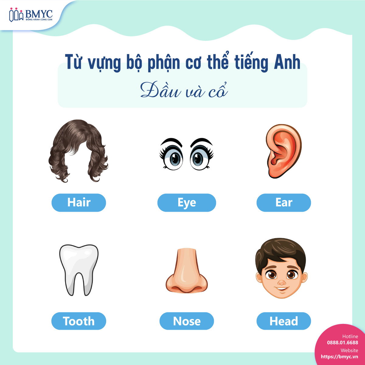 Top 100 tu vung bo phan co the.3