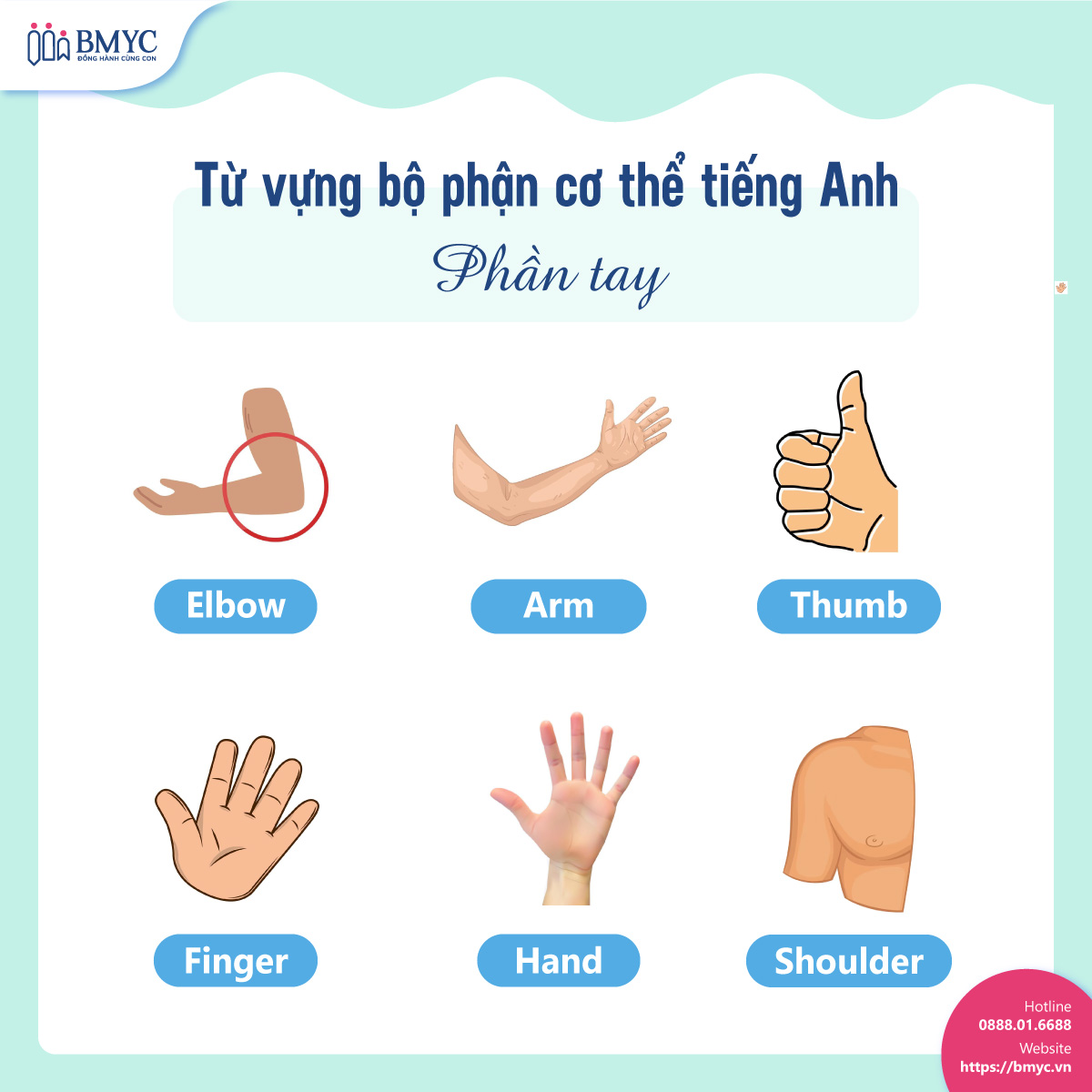 Top 100 tu vung bo phan co the.4