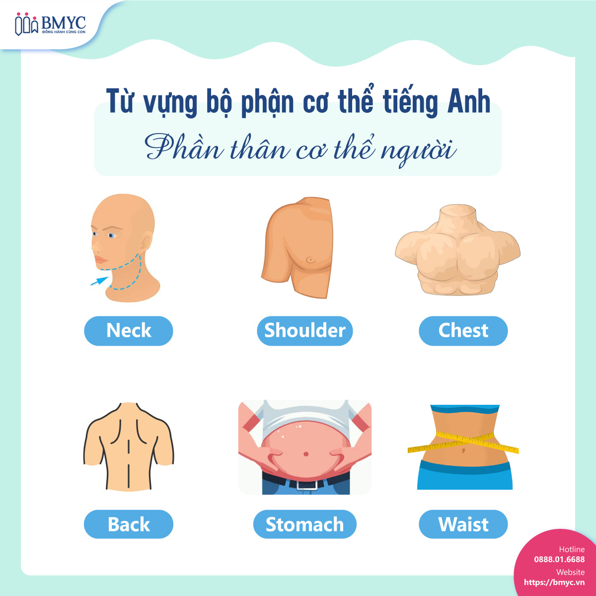 Top 100 tu vung bo phan co the.5