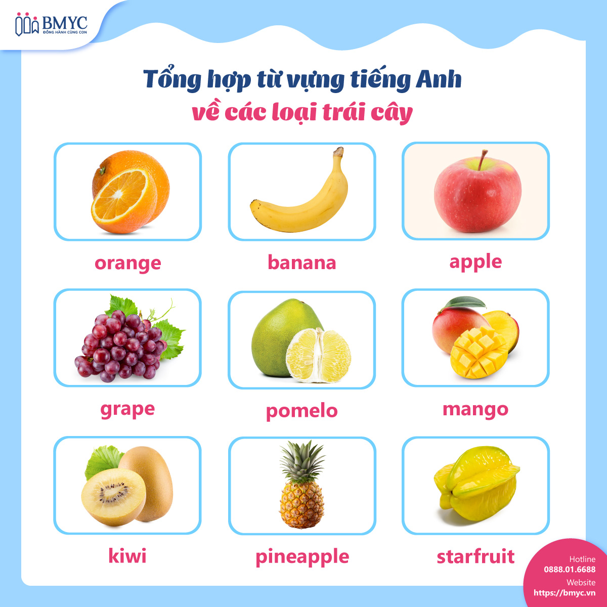 Bảng tổng hợp từ vựng tiếng Anh về các loại trái cây Tu vung cac loai trai cay.2