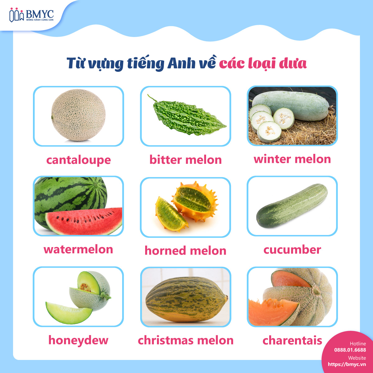 Từ vựng tiếng Anh về các loại dưa Tu vung cac loai trai cay.3