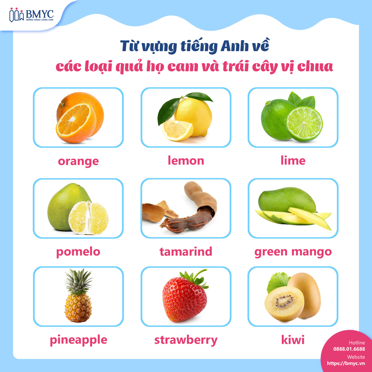 Từ vựng tiếng Anh về các loại quả họ cam và trái cây vị chua Tu vung cac loai trai cay.6