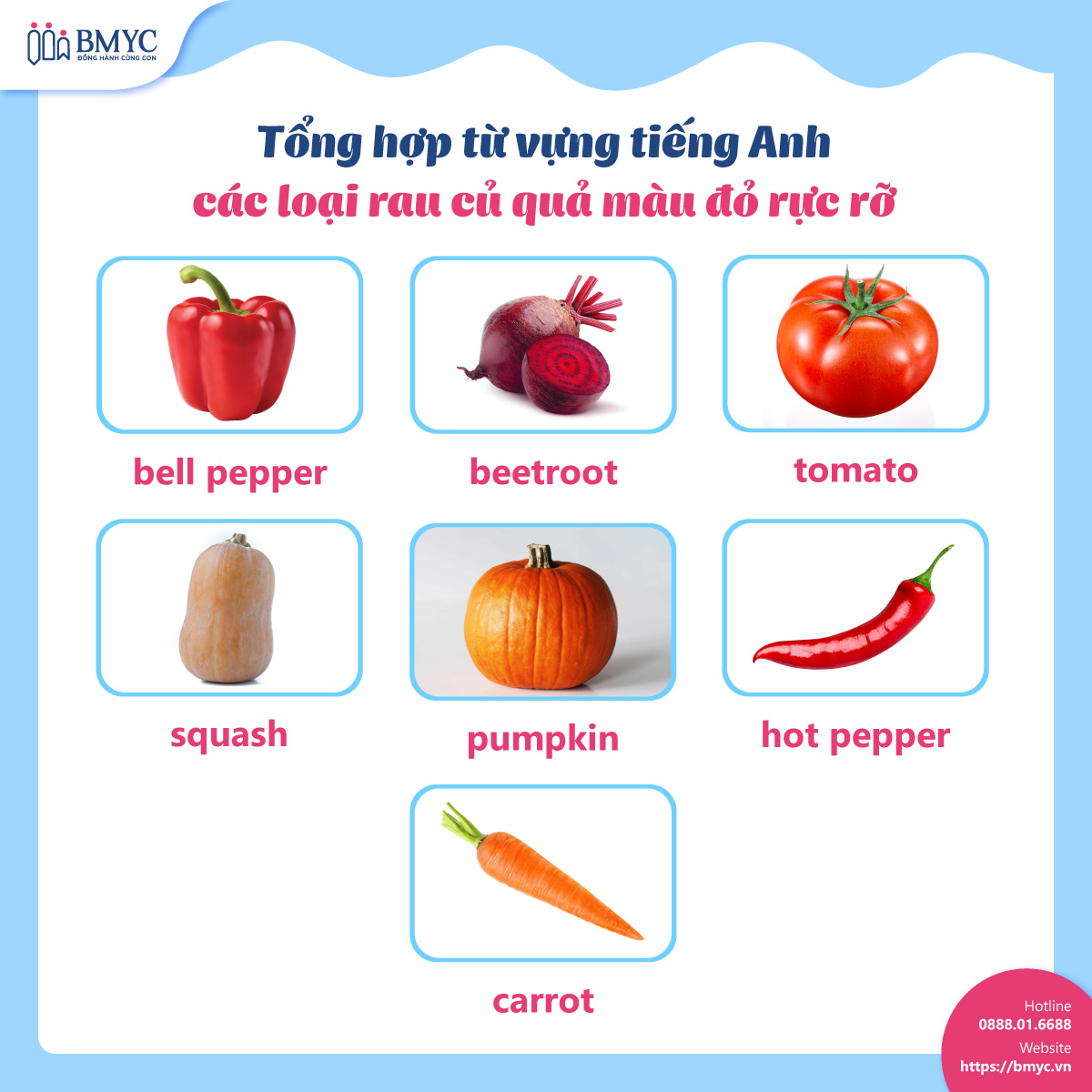 Từ vựng tiếng Anh về các loại rau củ quả màu đỏ rực rỡ Tu vung cac loai trai cay.7