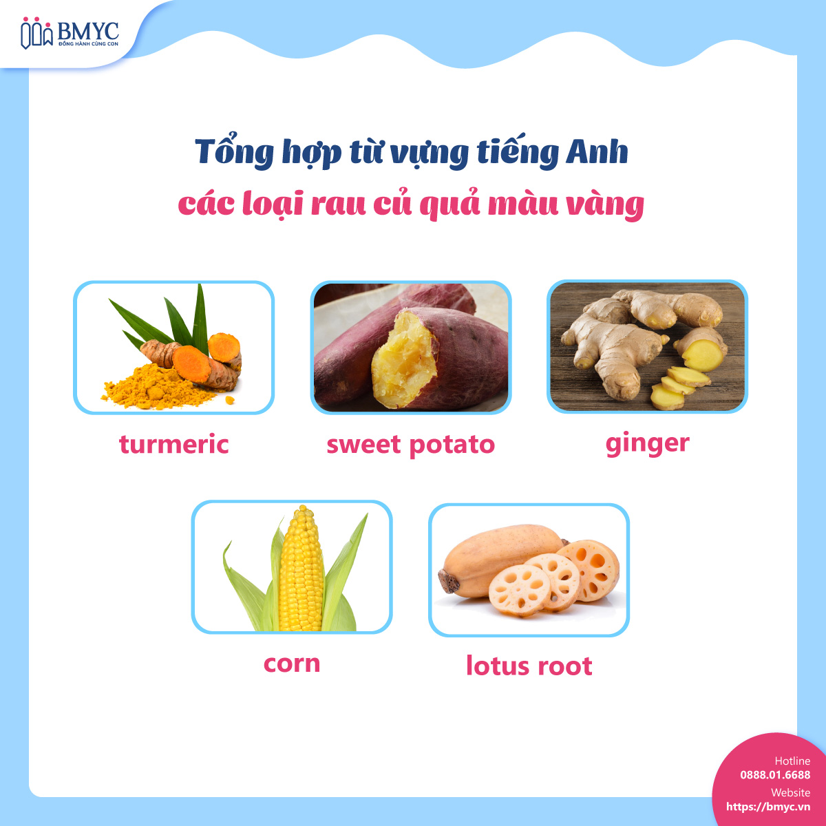 Từ vựng tiếng Anh về các loại rau củ quả màu vàng Tu vung cac loai trai cay.8