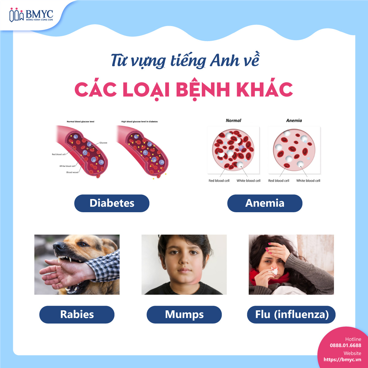 tong hop 99 tu vung cac loai benh.6