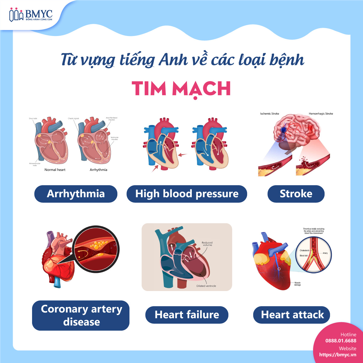 tong hop 99 tu vung cac loai benh.9