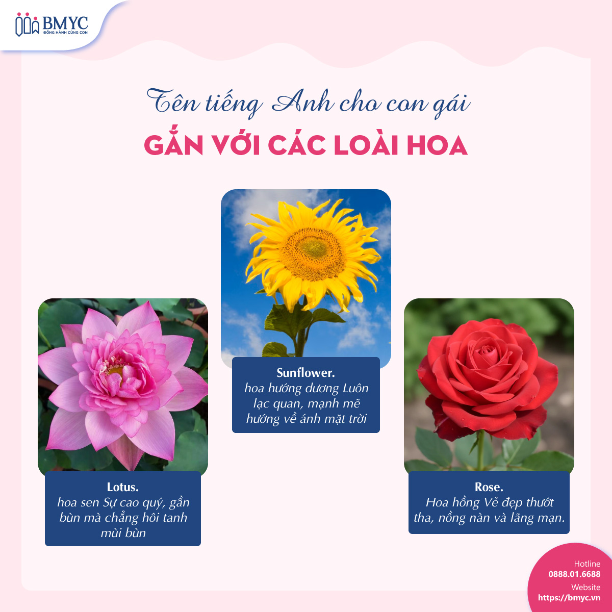 Tên tiếng Anh gắn với các loài hoa cho bé gái