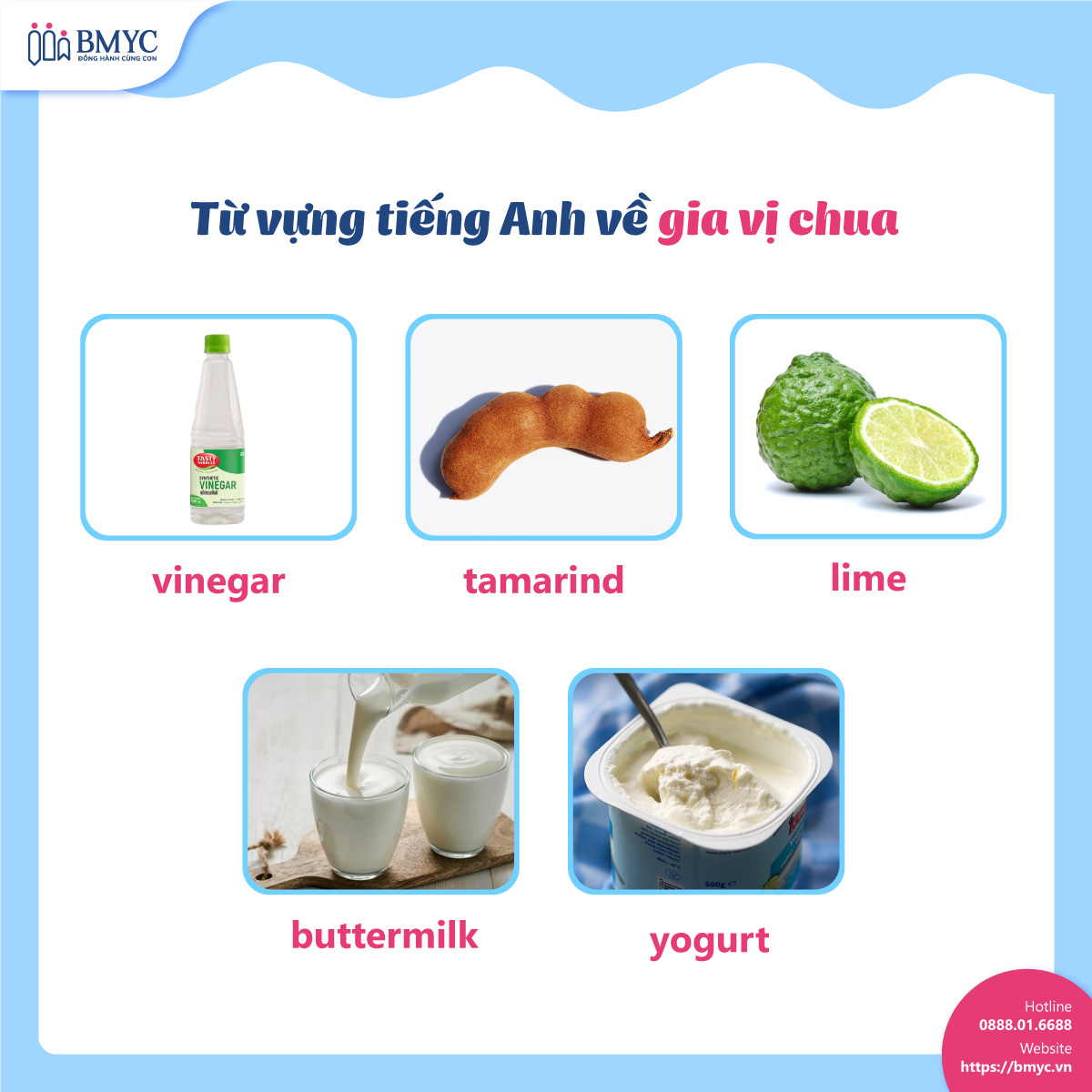 tu vung cac loai gia vi.3