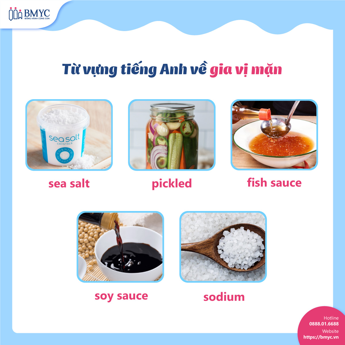 tu vung cac loai gia vi.5