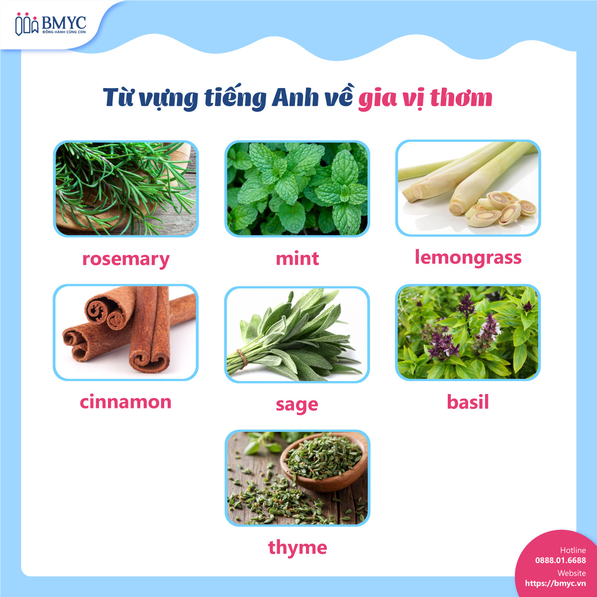 tu vung cac loai gia vi.7