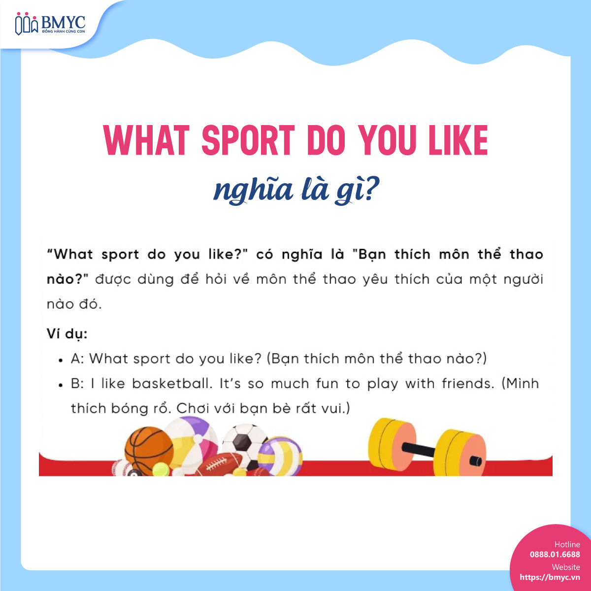 What sport do you like nghĩa là gì?