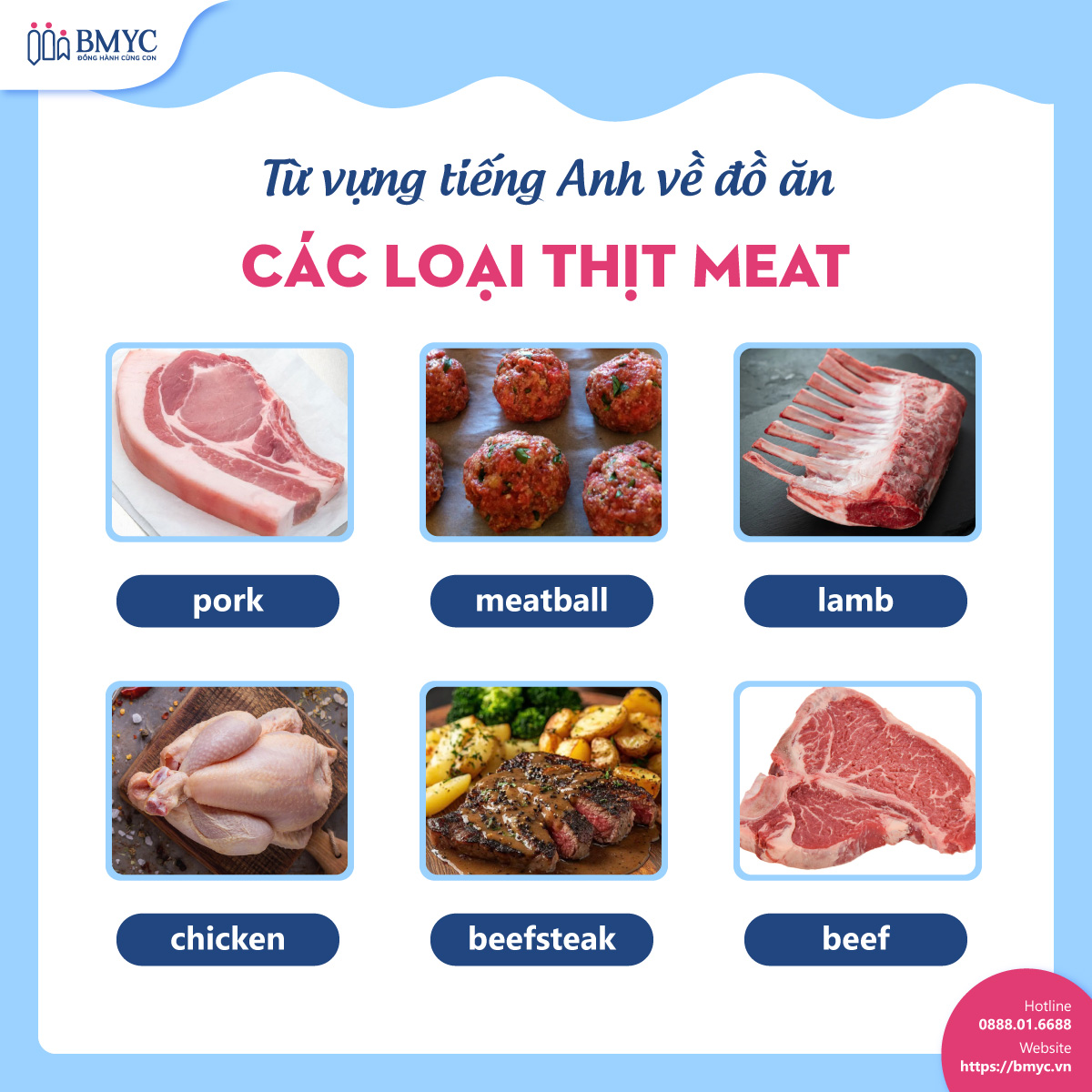 Từ vựng tiếng Anh về đồ ăn: Các loại thịt (Meat)