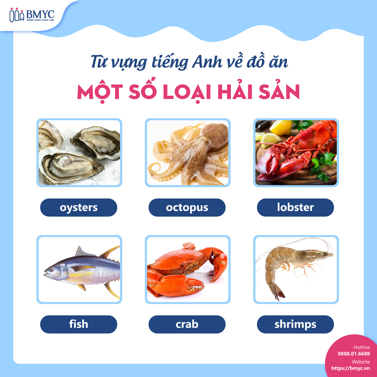 Từ vựng tiếng Anh về đồ ăn: Một số loại hải sản