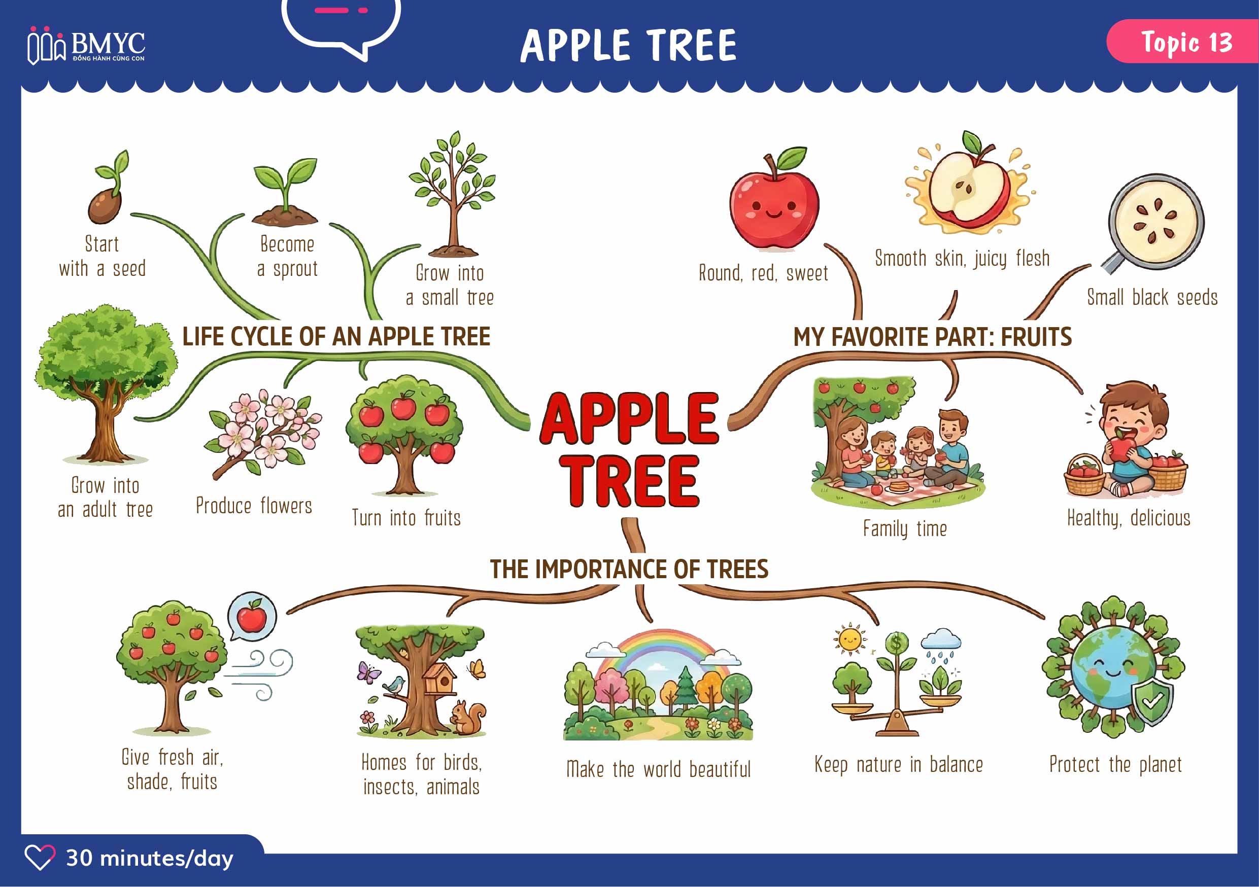 Topic 13 APPLE TREE