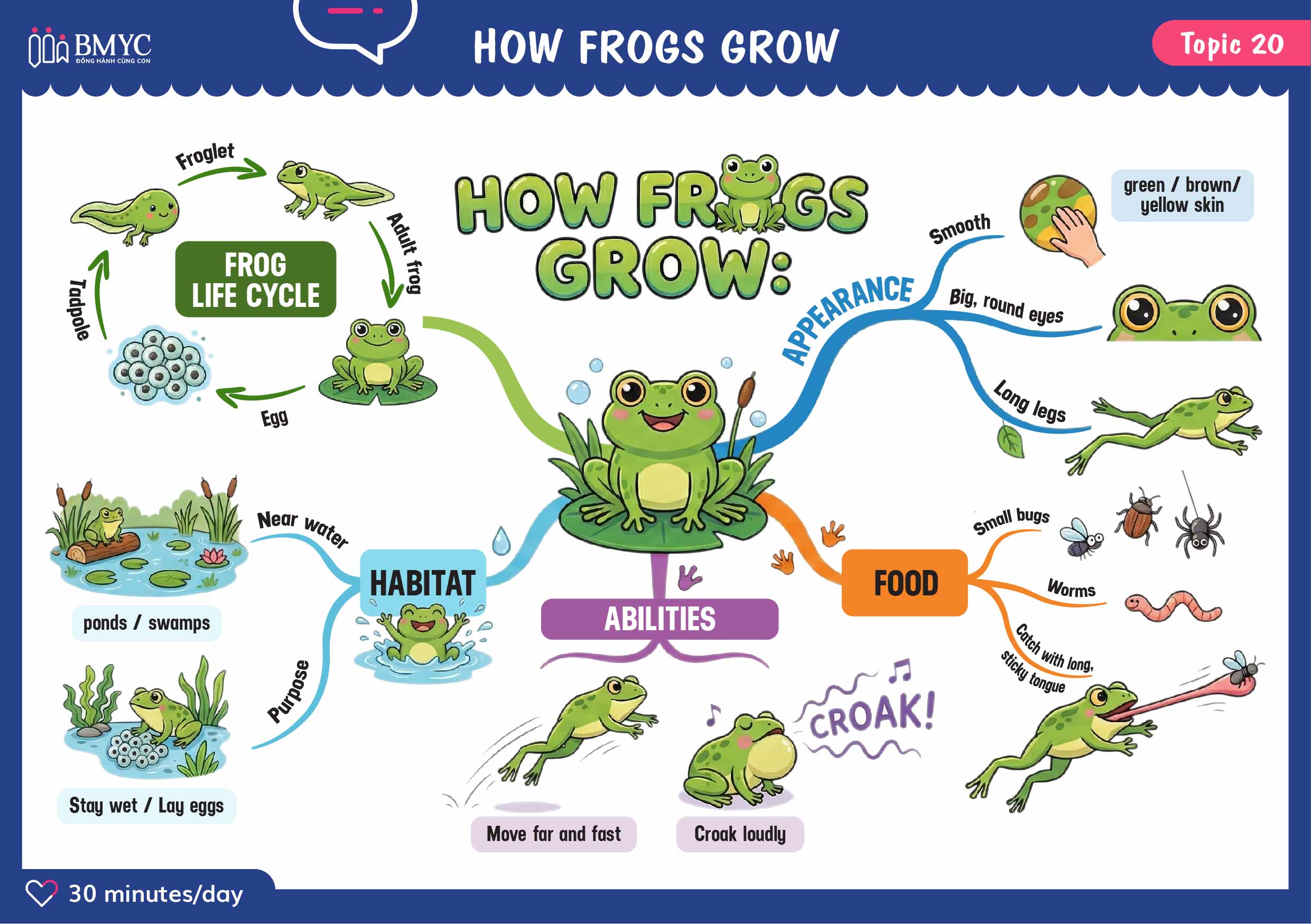 Topic 20 HOW FROGS GROW