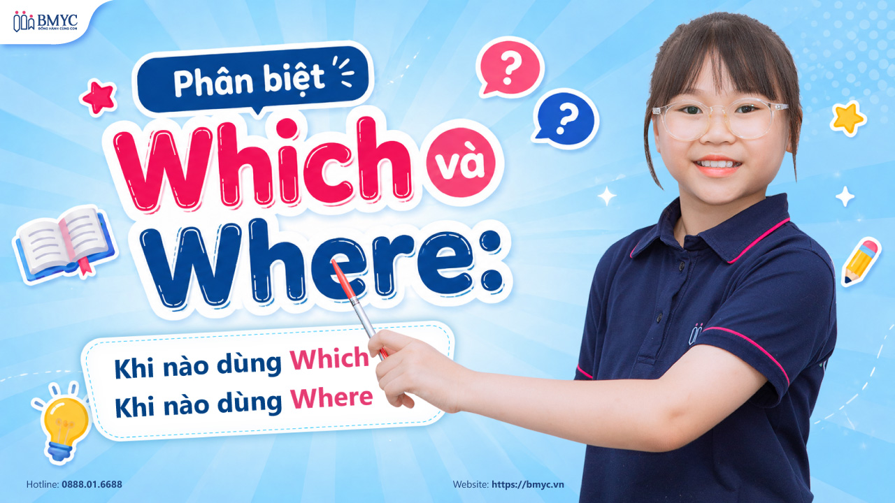Phân Biệt Which và Where: Khi Nào Dùng Which, Khi Nào Dùng Where?