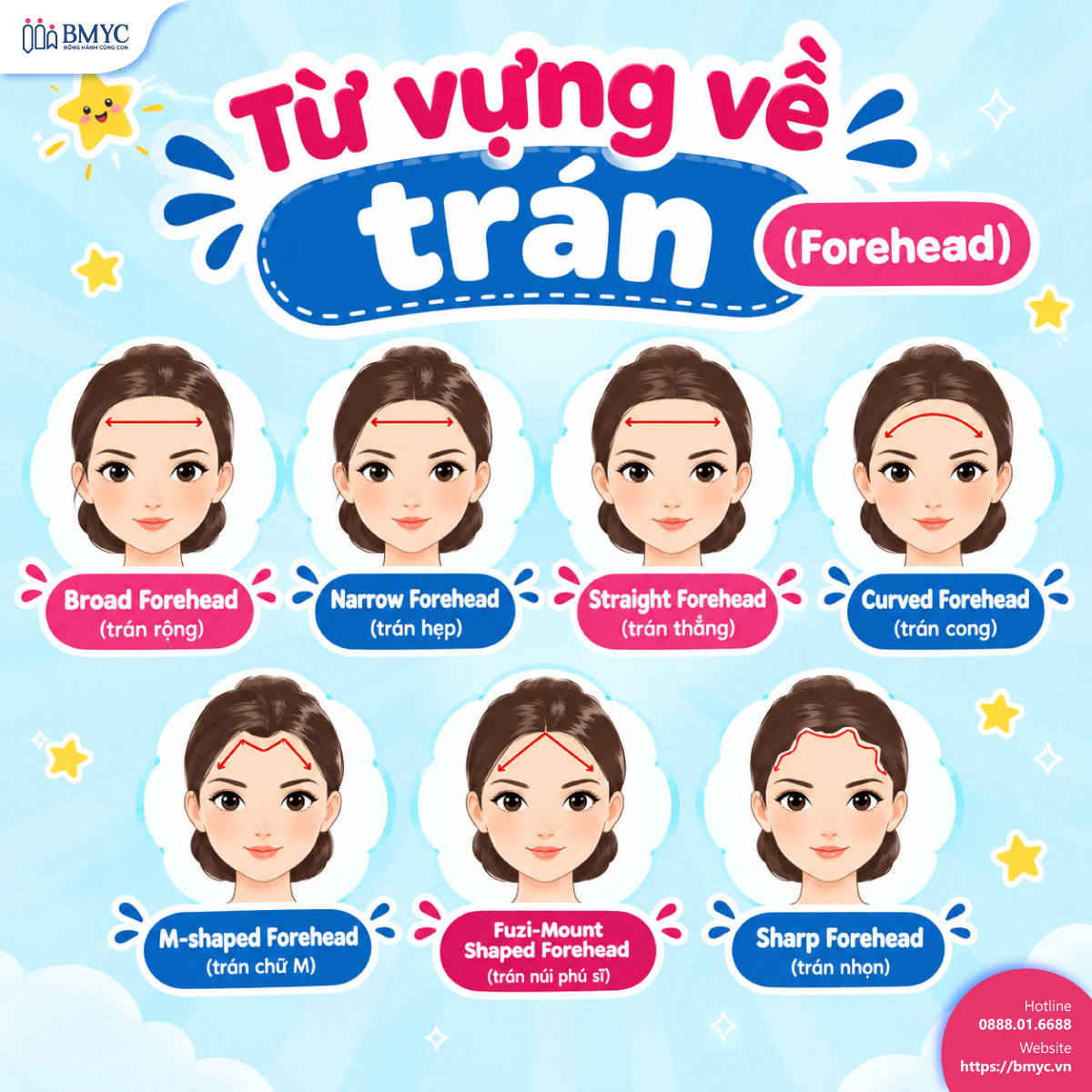 Từ vựng về trán (Forehead)