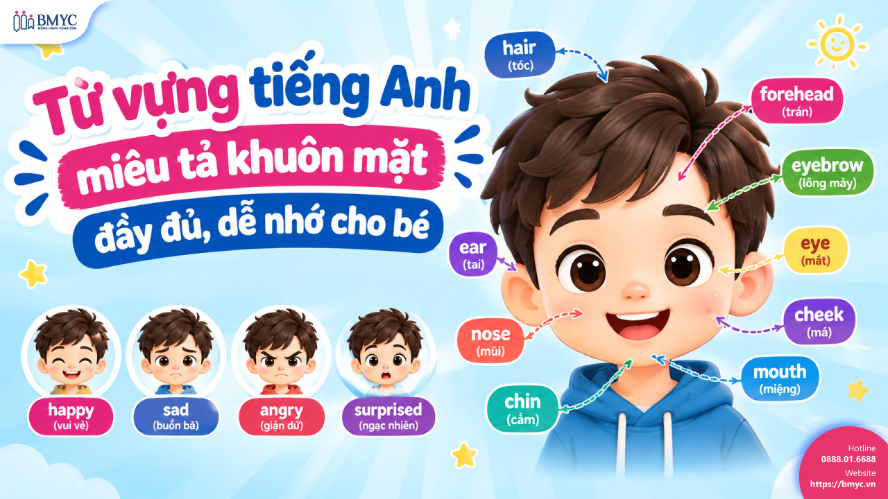 Từ vựng tiếng Anh miêu tả khuôn mặt đầy đủ, dễ nhớ cho bé
