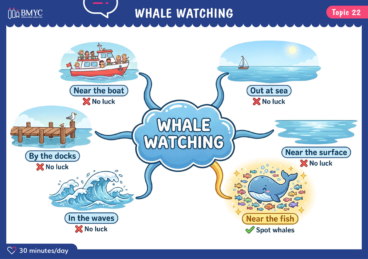 mind map Whale watching