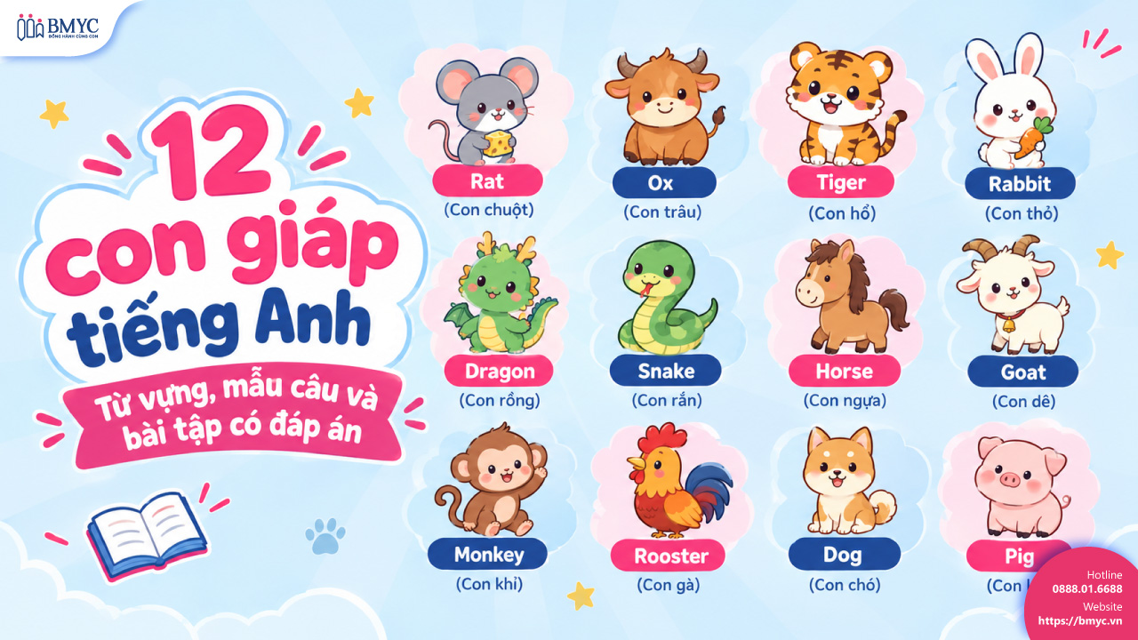 12 con giáp tiếng Anh: Từ vựng, mẫu câu và bài tập có đáp án